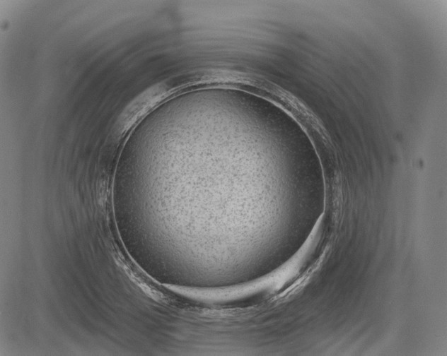 X0000085040985200703121429