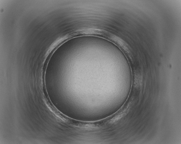 X0000085040986200703121429