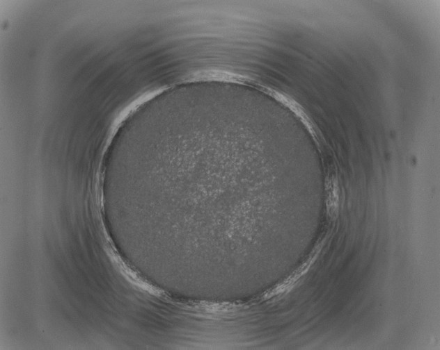 X0000085040987200703121429