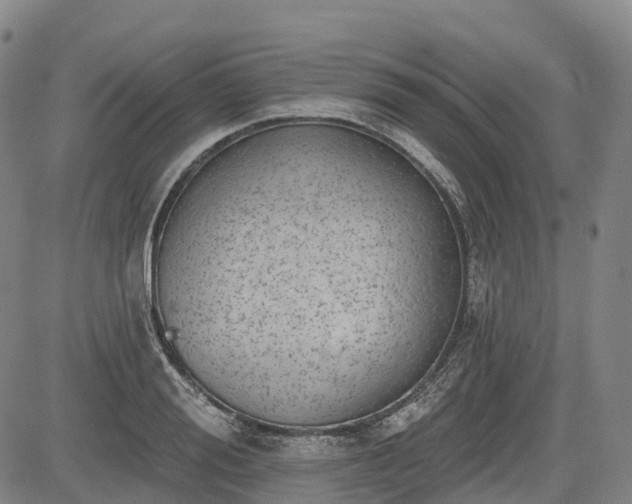 X0000085040988200703121429