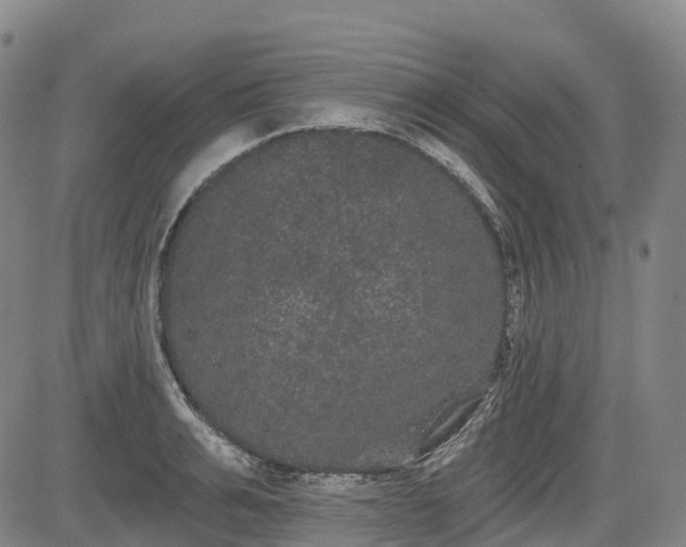 X0000085040991200703121429