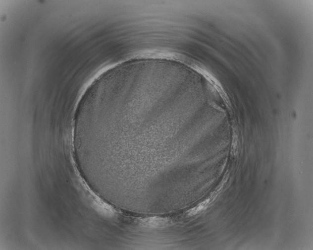 X0000085040992200703121429