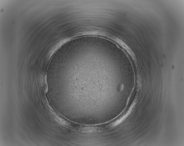 X0000085040993200703121429