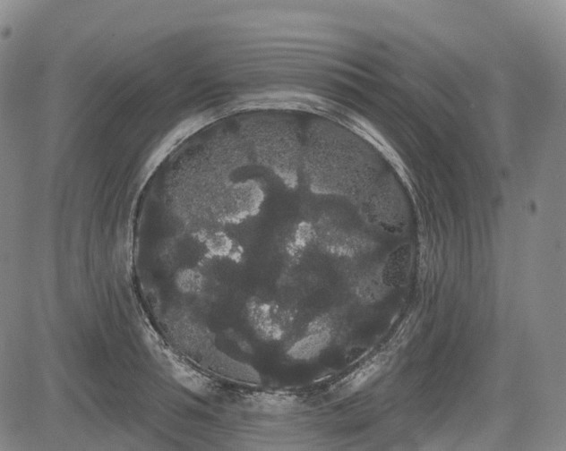 X0000085040994200703121429