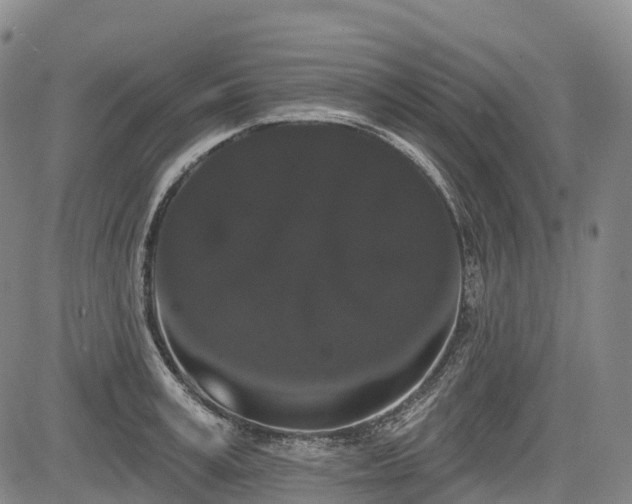 X0000085040995200703121429