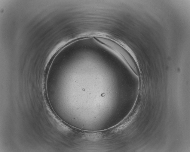 X0000085040997200703121429