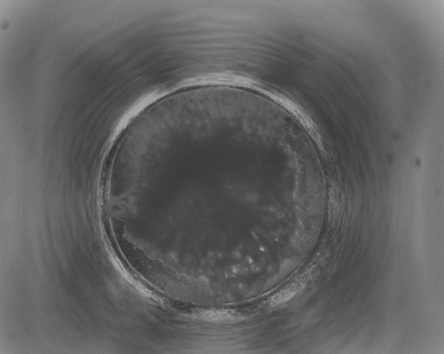 X0000085040998200703121429