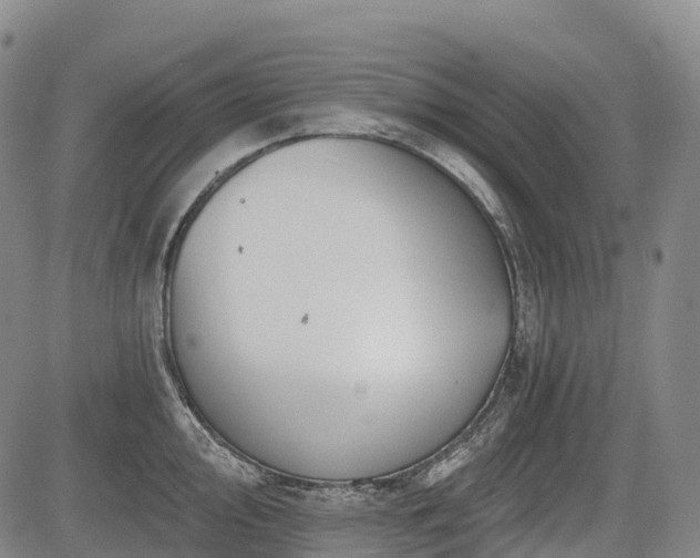 X0000085041000200703121429