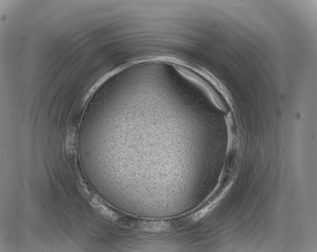 X0000085041001200703121429