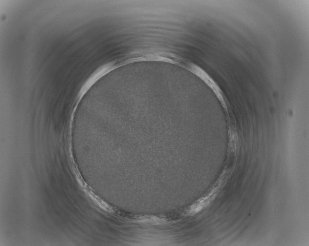 X0000085041002200703121429