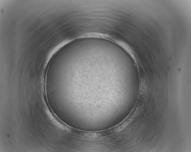 X0000085041003200703121429