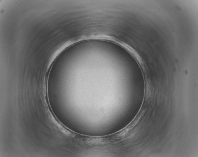 X0000085041006200703121429