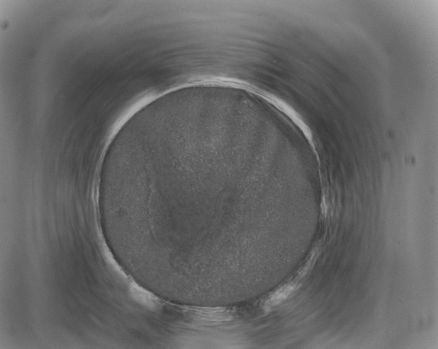 X0000085041007200703121429