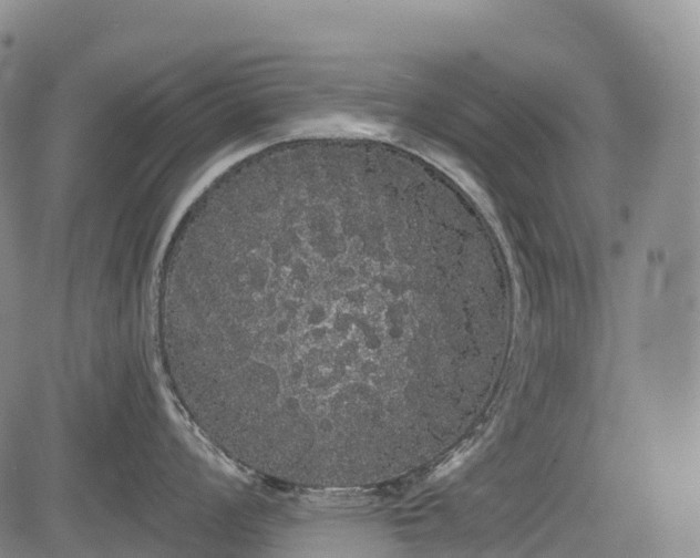 X0000085041008200703121429