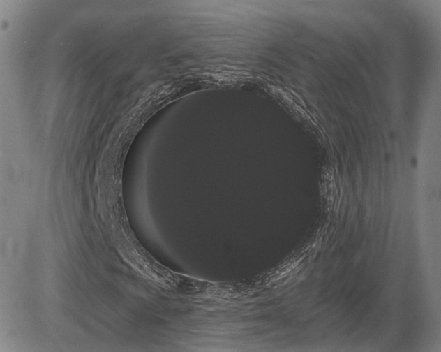 X0000085041009200703121428