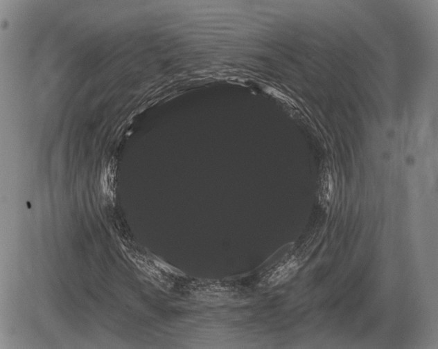 X0000085041010200703121428