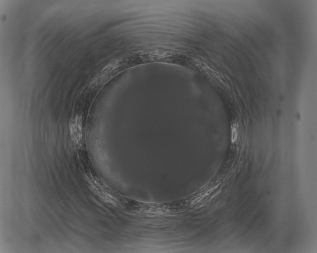 X0000085041011200703121428