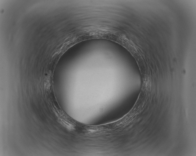 X0000085041012200703121428