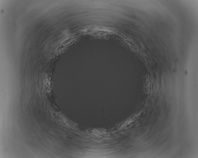 X0000085041013200703121428