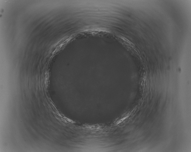 X0000085041014200703121428