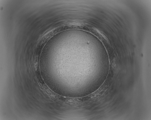 X0000085041015200703121428