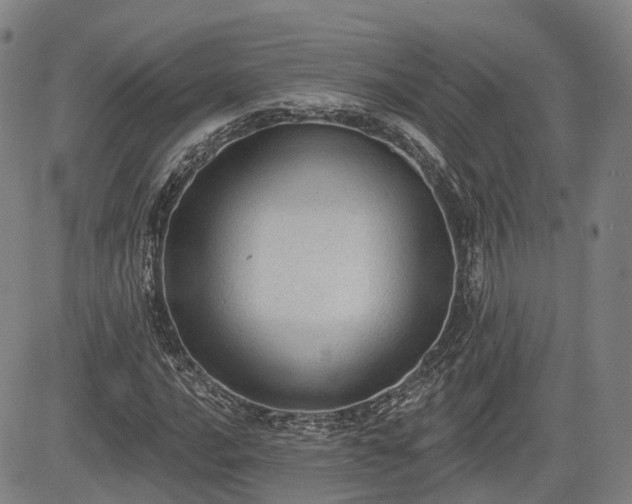 X0000085041016200703121428