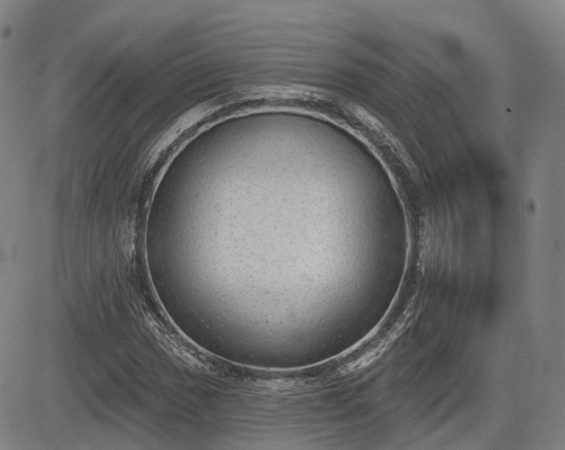 X0000085041017200703121428