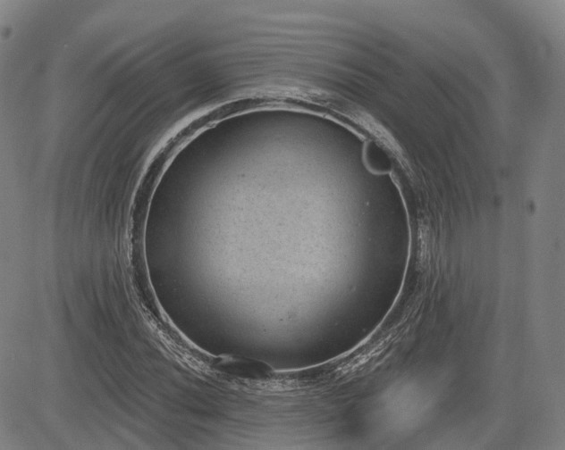 X0000085041020200703121428