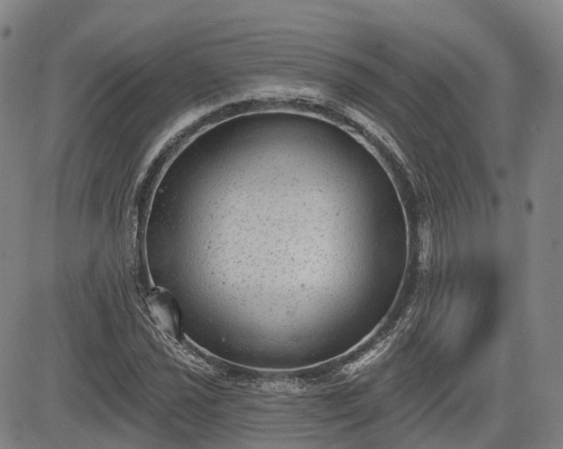 X0000085041021200703121428