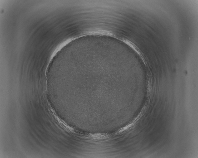 X0000085041022200703121428