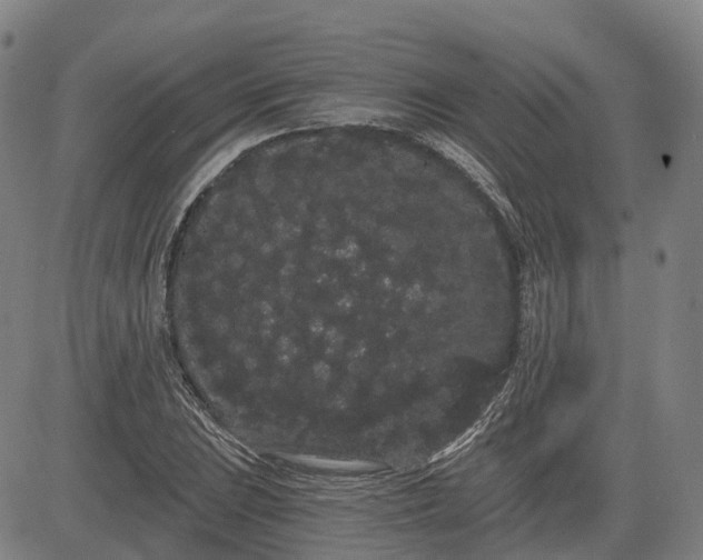 X0000085041023200703121428