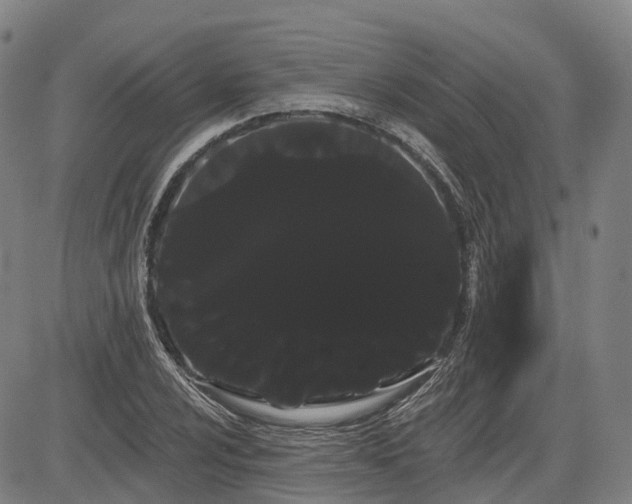 X0000085041024200703121428