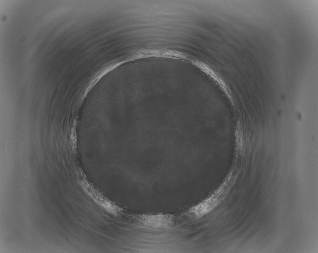 X0000085041025200703121428