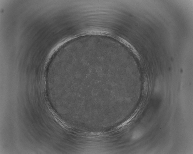 X0000085041027200703121428