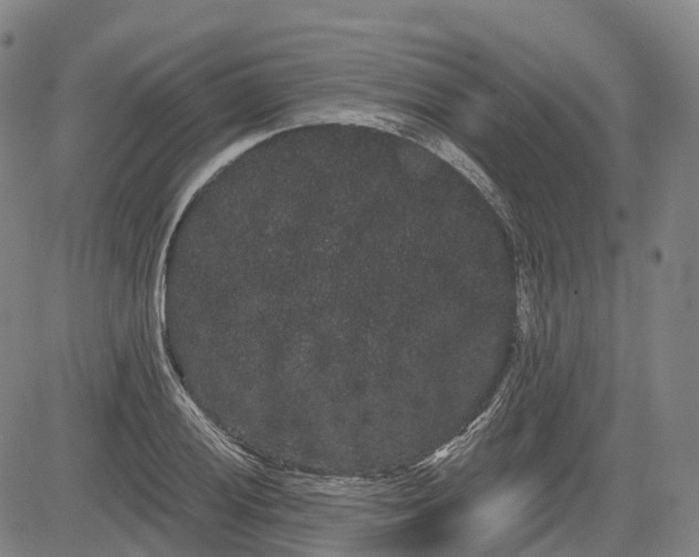 X0000085041028200703121428