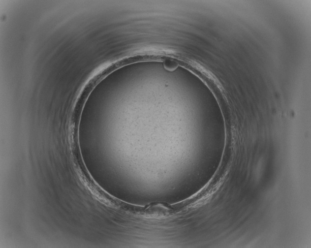 X0000085041029200703121428