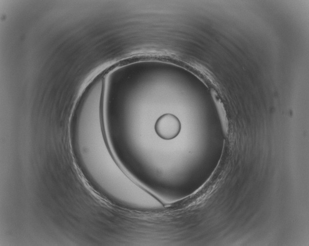 X0000085041030200703121428