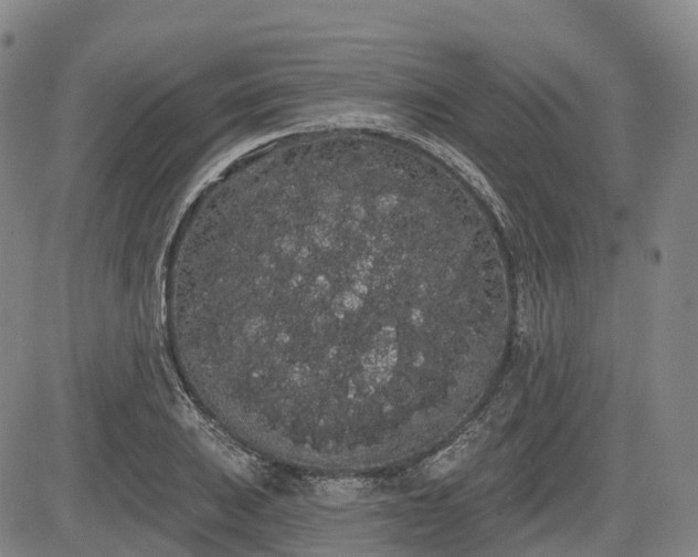 X0000085041031200703121428