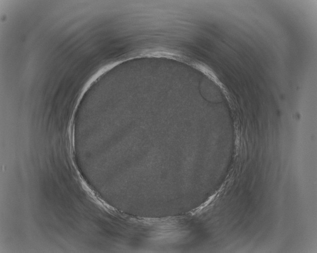 X0000085041032200703121428