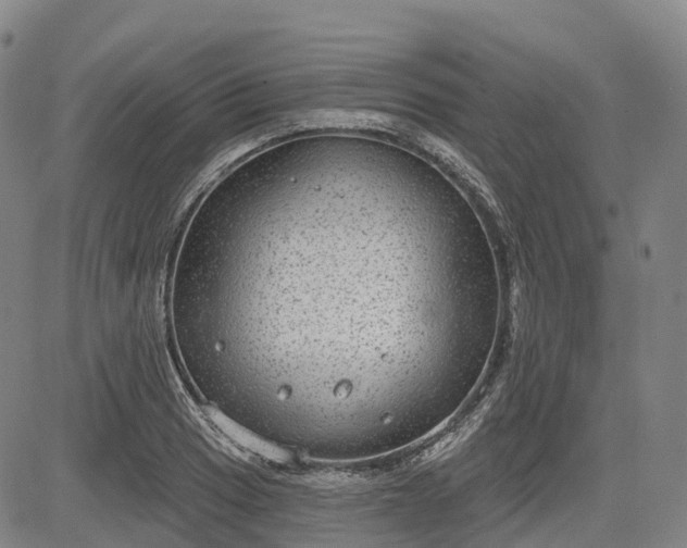 X0000085041033200703121428