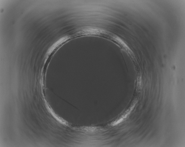 X0000085041034200703121428