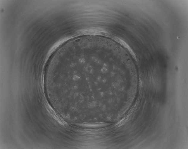 X0000085041035200703121428