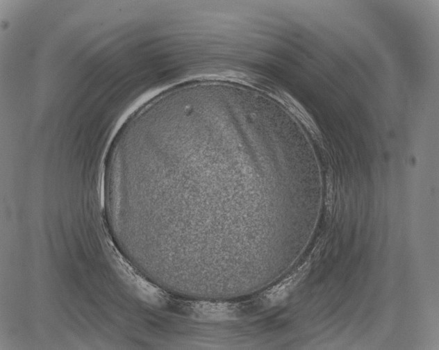 X0000085041036200703121428