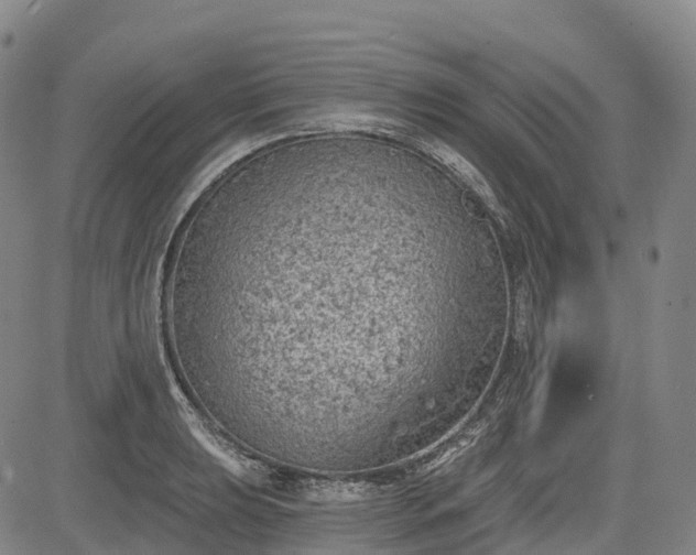 X0000085041039200703121428