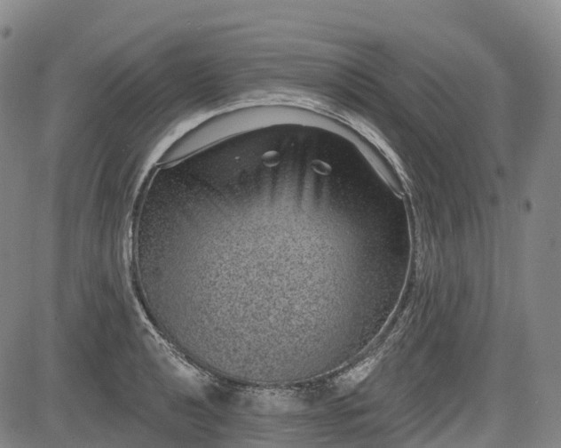 X0000085041040200703121428