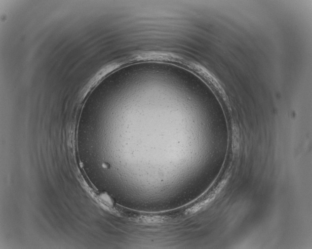 X0000085041041200703121428