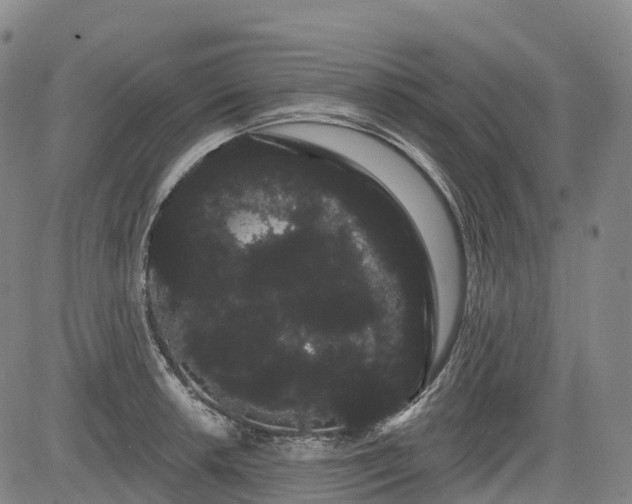 X0000085041042200703121428