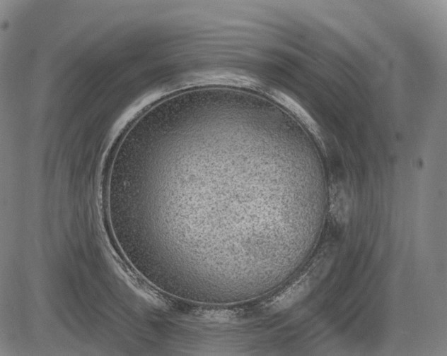 X0000085041043200703121428