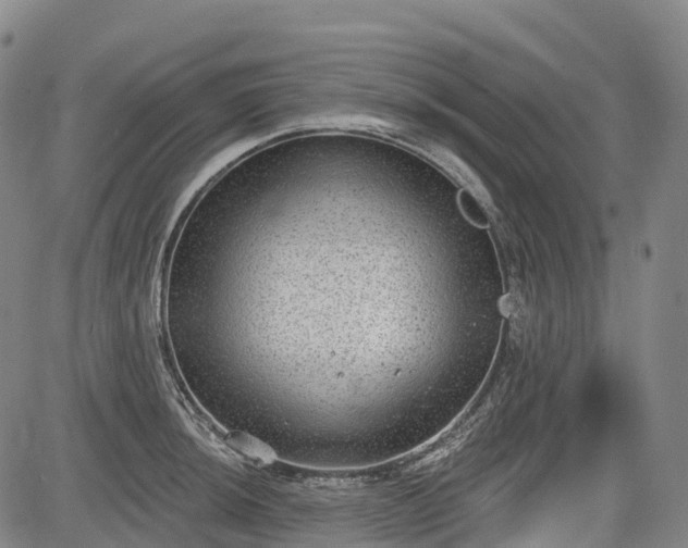 X0000085041044200703121428