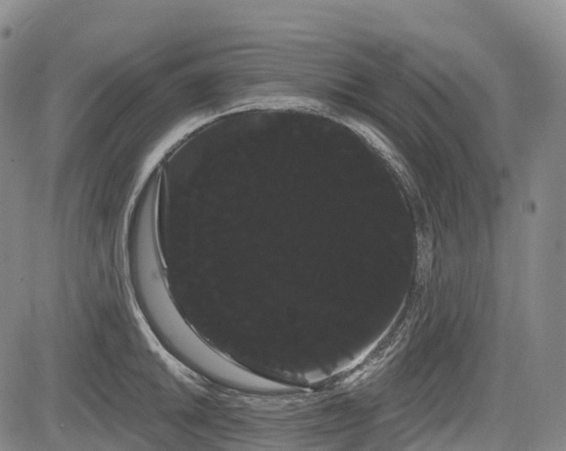 X0000085041046200703121428